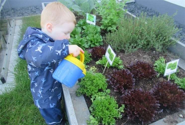 Die Kinder werden in die Aufzucht und Pflege der Pflanzen mit eingebunden, wie beispielsweise beim regelmäßigen Gießen.
