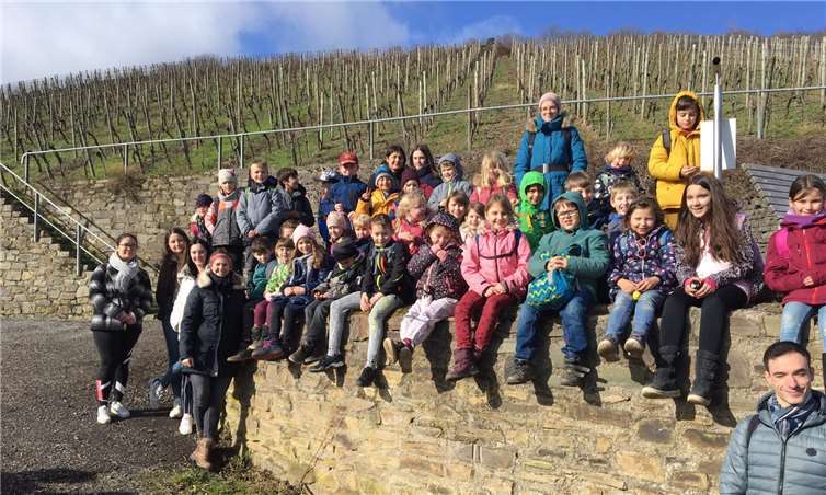 Die Kinder wurden bei ihrer Wanderung zu "Ahrtal-Experten" ausgebildet.Foto: privat