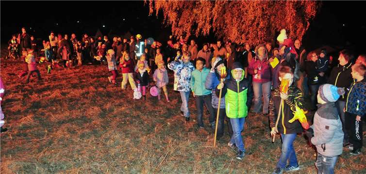 Die Kinder zogen dem Heiligen Martin zu Ehren singend durch den Ort.