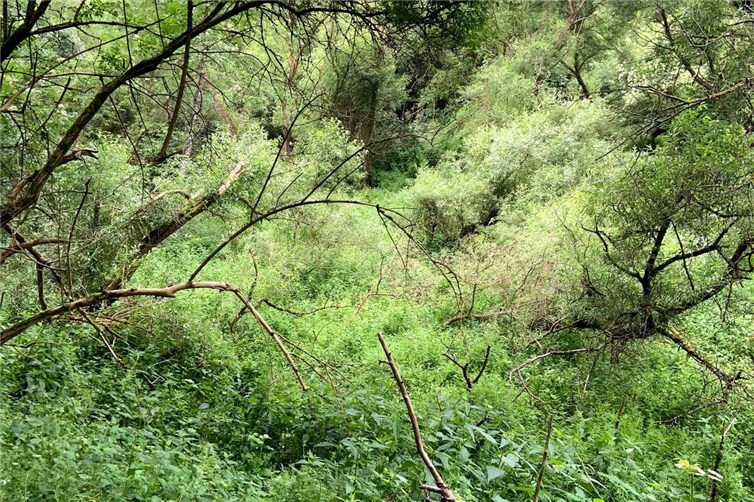 Die Kirchwalder Auen.Foto: Kreis MYK