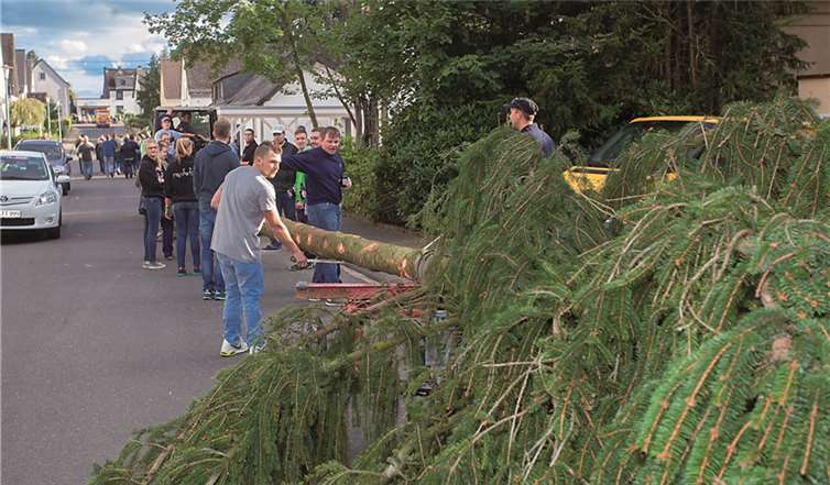 Die Kirmesgesellschaft unterwegs mit ihrem Baum zur Kornbitze.