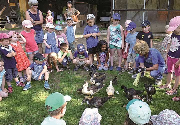 Die Kita-Kinder durften als kleines Dankeschön die Enten füttern, was ihnen sichtlich Freude bereitete.