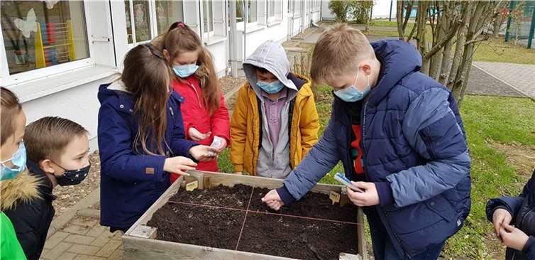 Die Klasse 4a säht die Space Seeds aus. Foto: privat