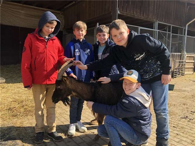 Die Klasse 5b der Hans-Dietrich-Genscher Schule besuchte den Biohof Hochgürtel in Züllighoven. Foto: privat