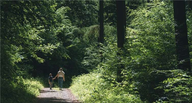 Die Kleinen Wäller - barrierearm und ideal für Familien. Foto: Andreas Pacek / Touristik-Verband Wiedtal e.V.