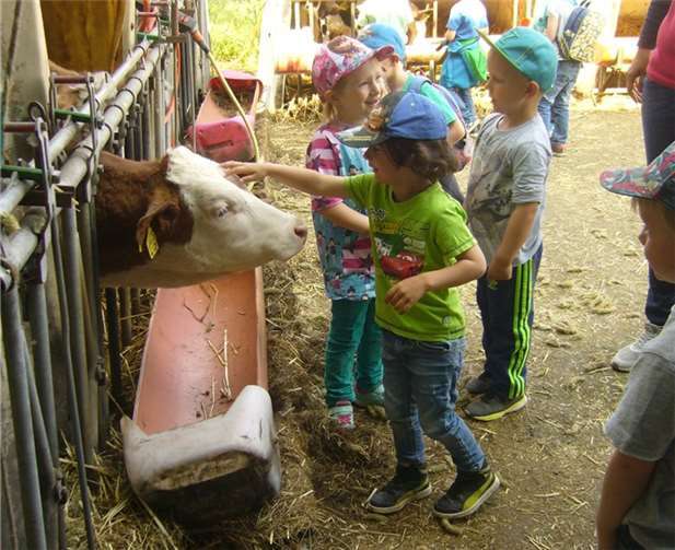 Die Kleinen gaben gerne Streicheleinheiten.