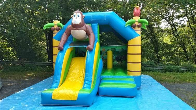 Die Kleinsten konnten sich auf der Hüpfburg austoben.