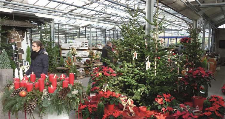 Frohe und besinnliche Stunden im herrlichen Ambiente des Klostergeländes Die Klostergärtnerei lockte mit ihrer prächtigenWeihnachtsdekoration sowie ihrem Weihnachtsbaum- undWeihnachtssternverkauf.