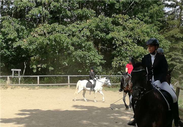 Die Konzentration war bei allen TeilnehmerInnen groß. privat