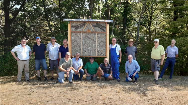 Die Koppelaner haben ein beachtliches Insektenhotel errichtet. Foto: Ralf Ueberall