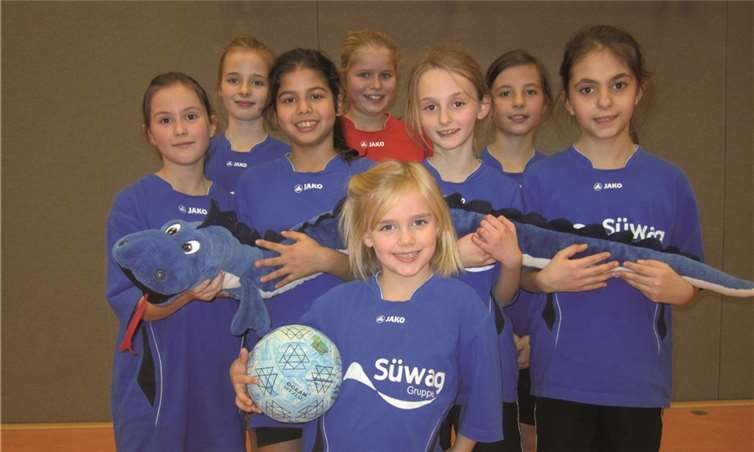 Die Korbball-Nachwuchsmannschaft des TV Kärlich in der Saison 2014/2015.privat