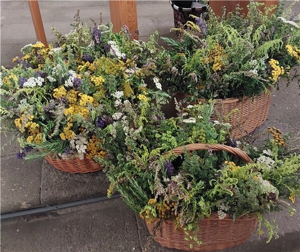 Die Kräuterstraße.