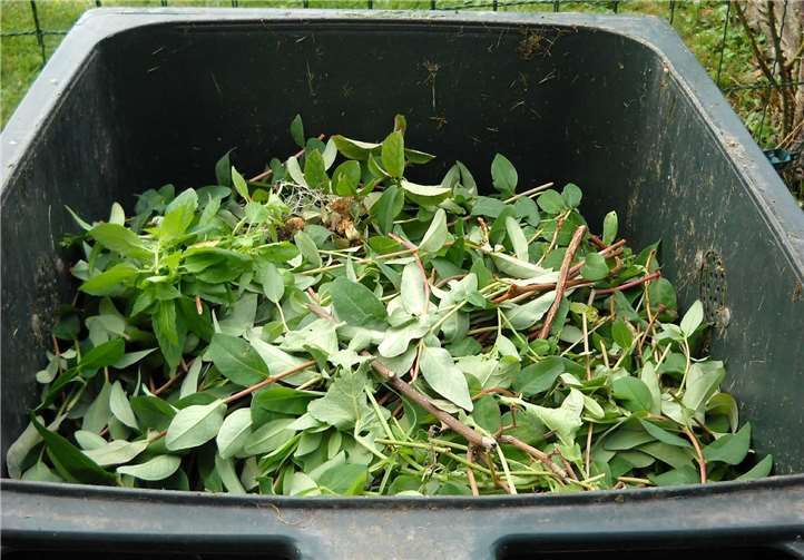 Die Kreisverwaltung Neuwied bittet die Bürger um Weitsicht bei der Abfallentsorgung. Foto: Pixabay