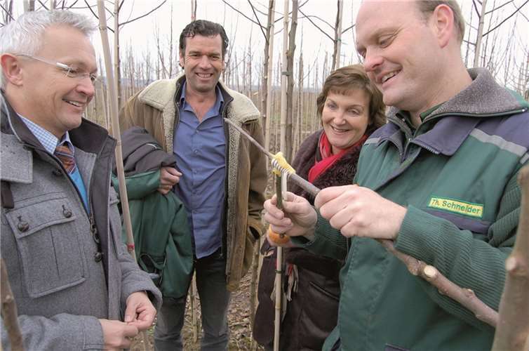 Die Kreisverwaltung Neuwied unterstützt die Wiederansiedlung des „Mautapfels“ auf den Streuobstwiesen rund um die ehemalige Abtei Rommersdorf in Neuwied Heimbach-Weis.privat