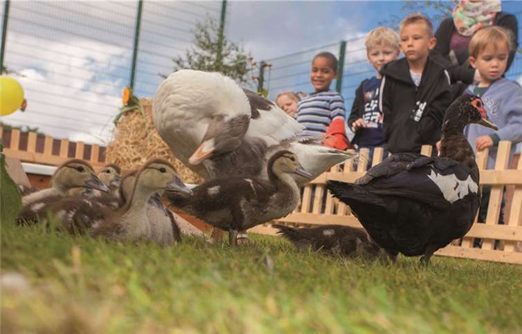 Die Küken waren der Rennen bei den Kindern.
