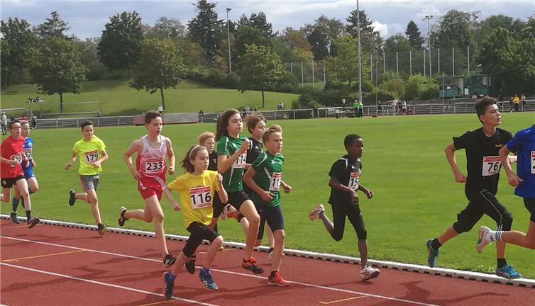 Die Läufer des TV Rheinbach zeigten durchweg gute Leistungen. Foto: privat
