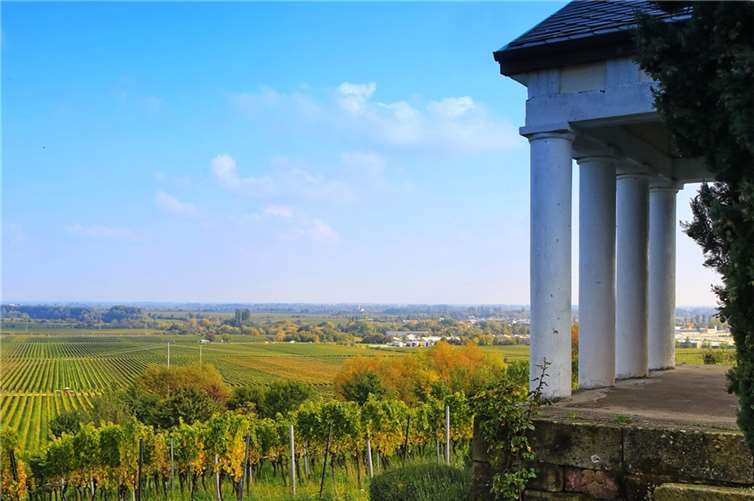 Die Landkreise Südwestpfalz und Südliche Weinstraße sind von Funklöchern besonders betroffen. Foto: Pixabay © koreafreund (CC0 Public Domain)