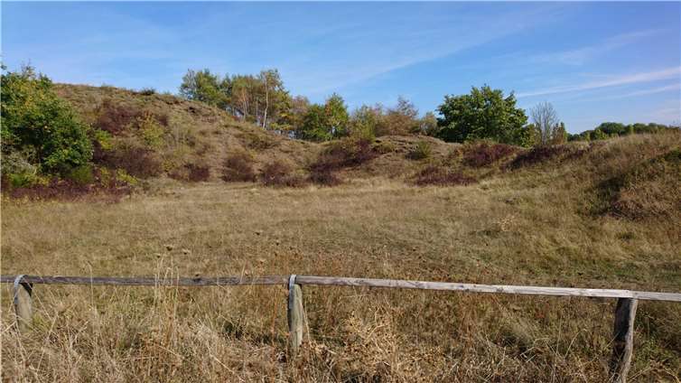 Die Landschaft am Rodderberg.