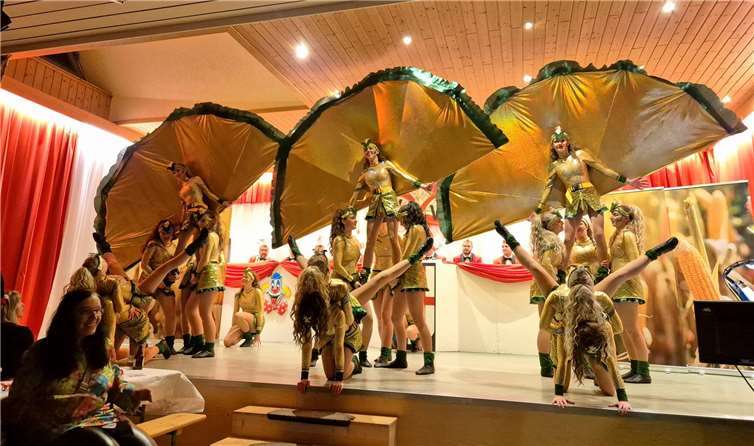 Die Langenfelder Kappensitzung begeisterte mit einem abwechslungsreichen Programm.  Fotos: Langenfelder Carneval Verein 1989 e.V.