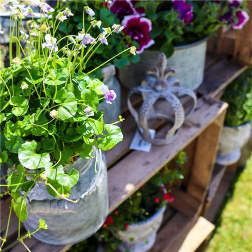 Die LebensArt ist das Shopping-Erlebnis mit Event-Charakter. Foto: Das AgenturHaus GmbH