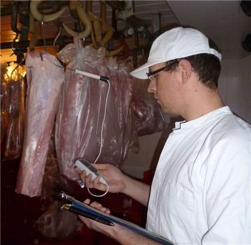 Die Lebensmittelkontrolleure der Kreisverwaltung Ahrweiler haben im ablaufenden Jahr mehr als 1.000 Betriebe überprüft. Dazu gehört unter anderem die Messung der Kerntemperatur von Fleisch.Kreisverwaltung Ahrweiler