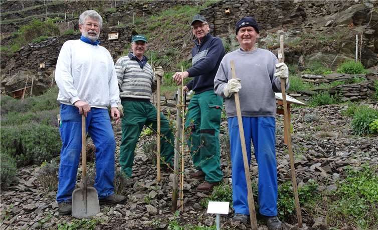 Die Lehmer Razejunge neben einem frisch gepflanzten Pfirsichbaum.Foto: privat