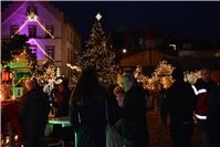 Die Lichter des großen Weihnachtsbaums wurden bei der Markteröffnung angeschalte...