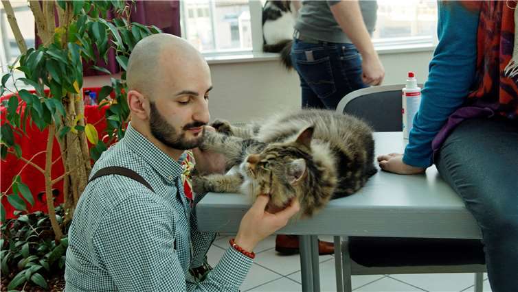 Die Liebe zwischen Mensch und Katzewar deutlich zu sehen und zu spüren