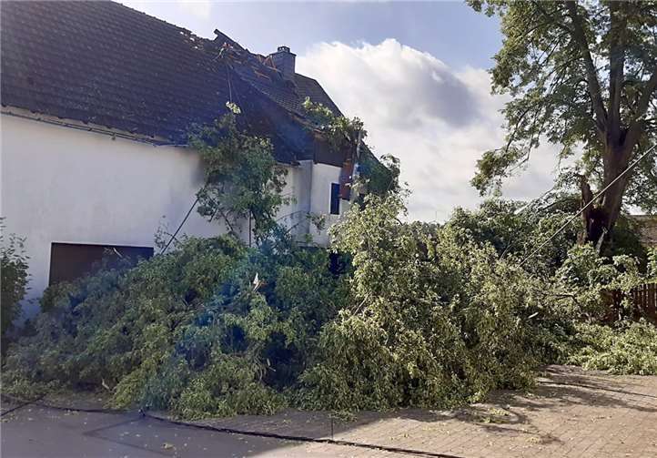 Die Linde fiel auf ein Wohnhaus.Foto: Feuerwehr VG Puderbach