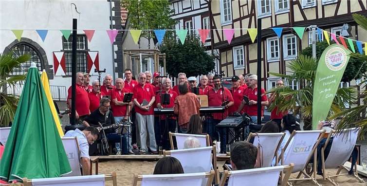 Die Linzer Sänger präsentierten ihr breites Repertoire.  Foto: privat