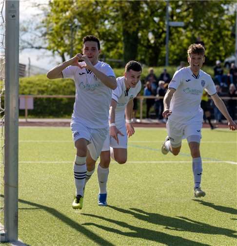 Die Linzer Zlatkov, A. Siljkovic und Schopp freuen sich über das 1:0. Fotos: Max Jäger