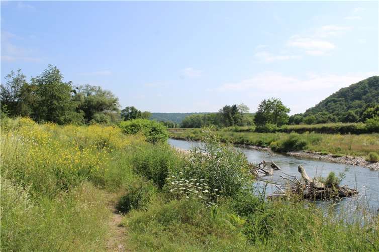 Naturschutz, Naherholung und Hochwasservorsorge Die Lohrsdorfer Ahrauen bieten vielen Tieren ein natürliches Habitat.