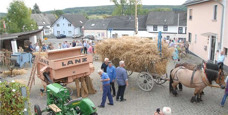 Die Luxemburger Ardenner Maya und Emma von Karsten Güttlerzogen die Getreideernte zur Dreschmaschine von Heinz-Otto Zantop. Fotos: KER