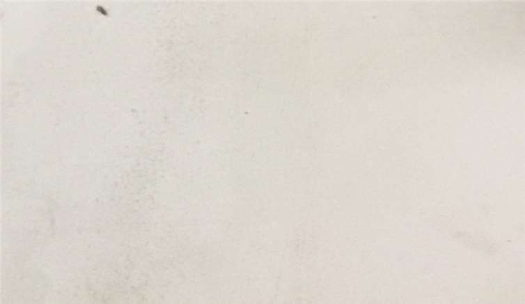 Die Madonna wurde 1960 im Wallfahrtsort Fátima angeschafft.Foto: privat