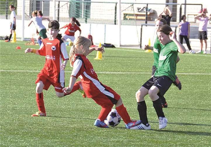 Die Mädels zeigten in der ganzen Saison eine gute Leistung und wurden auch im letzten Spiel mit einem Sieg belohnt. privat