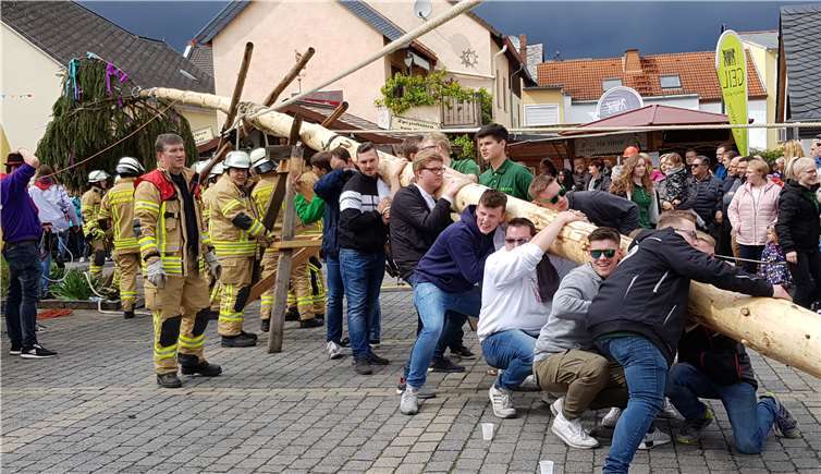 Die Männer der Feuerwehr sorgten gemeinsam mit den Mitgliederndes Junggesellenkomitees für das sichere Aufrichten des Kirmesbaumes mit Muskelkraft.