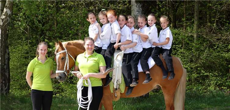 Die Mannschaft von Kurtscheid IV. Alle acht Voltigierer passen auf Pferd Aki. Thorsten Behrens