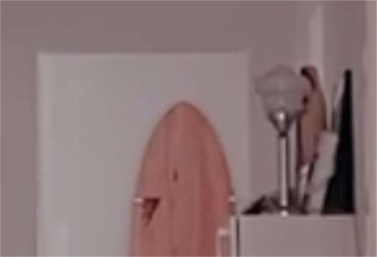 Die Marienstatue ist rechts auf dem Schrank zu sehen. Foto: privat
