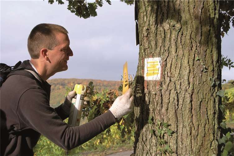 Die Markierungsarbeiten schreiten voran.Privat
