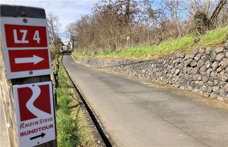 Die Mauer an der Burgstraße wurde von Bewuchs freigestellt.