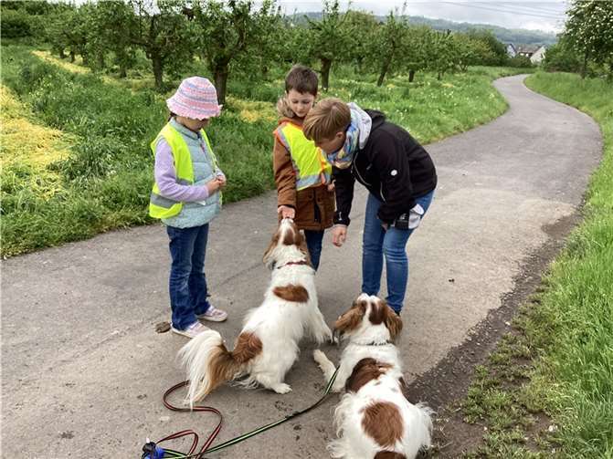 Die Maulwurfkinder durften mit zwei Hunden eine Runde Gassi gehen. Quellen: Kita Chateau Renault