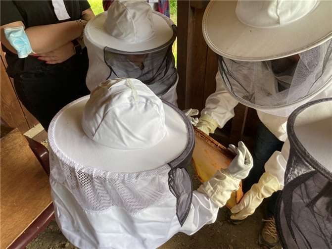 Die Maxis des Kindergarten Regenbogenland beim Bestaunen der Honigwaben.  Fotos: privat