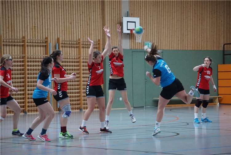 Die Merler Handballerinnen in rot und die Feytaler in blau.Foto: privat