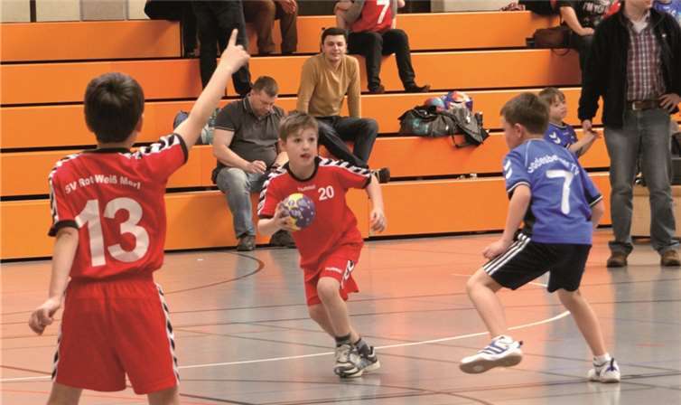 Die Merler Minis zeigten sich äußerst spielfreudig.privat