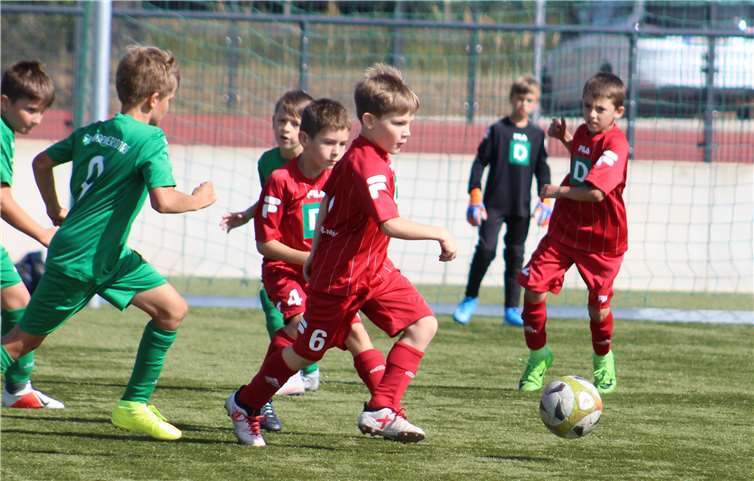 Die Merler im Vorwärtsgang.