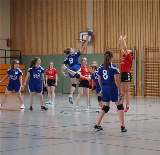 Die Merlerinnen zeigten bei dem Spiel ihr können und gingen mit einem klaren Sieg nach Hause. Privat