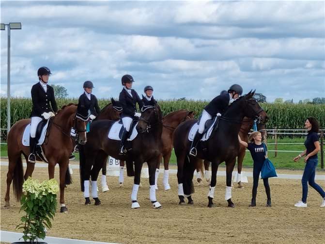 Die Mieler Reitkultur zeigte vier Tage Dressursport.Foto: privat