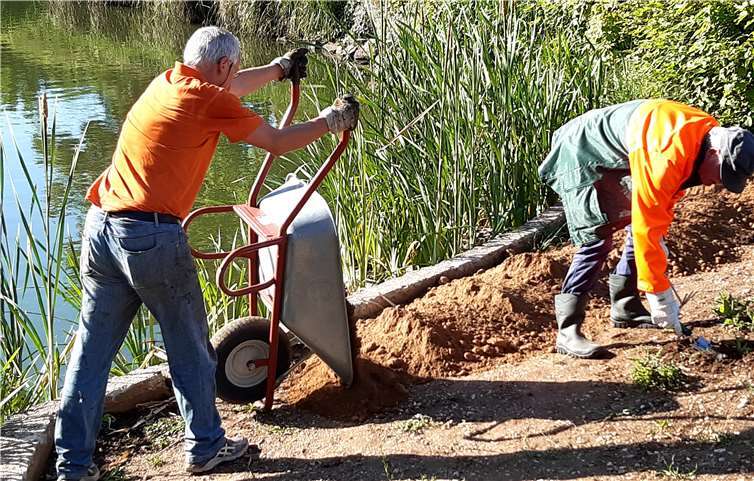 Die Mitglieder des HVV Buschhoven legten am Burgweiher eine naturnahe Pflanzfläche an. Fotos: Privat