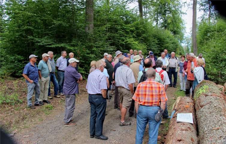 Die Mitglieder erfuhren alles über selektive Holzernte und gelungene Naturverjüngung.Foto: privat