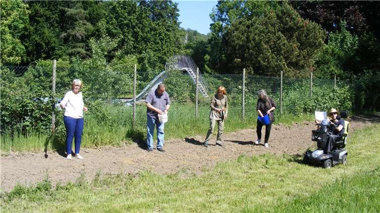 Die Mitglieder sorgten für Futter für die Insekten und die Augen. Foto: VdK OV Unkel